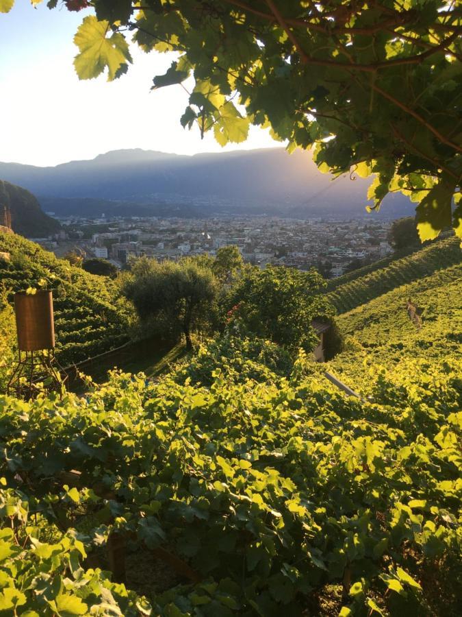 Weingut Eberlehof Διαμέρισμα Μπολζάνο Εξωτερικό φωτογραφία